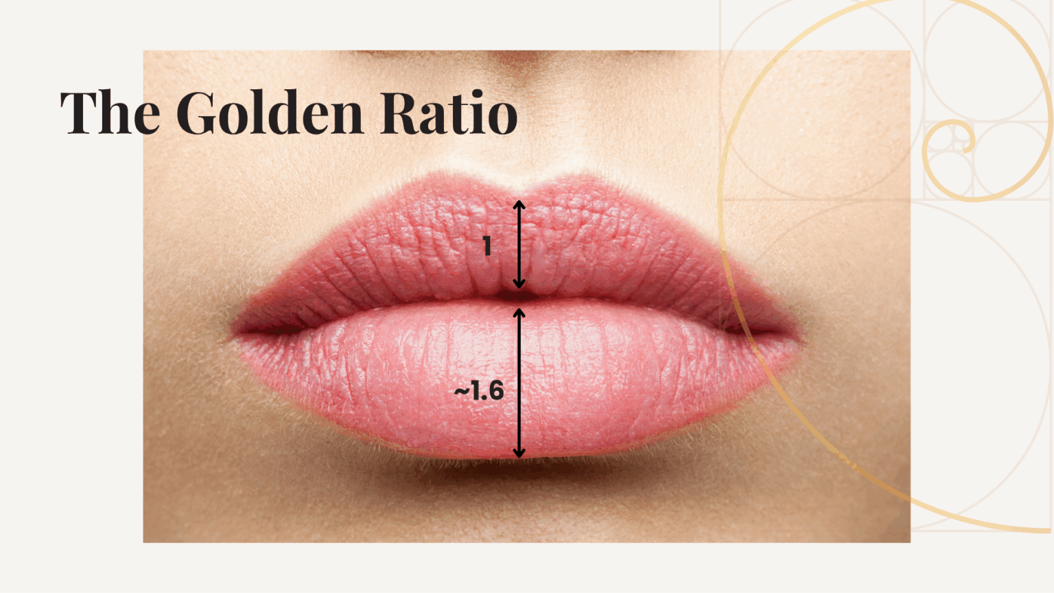 Diagonal Lips Lip Shape Chart: Different Lip Shapes and How to Enhance Them