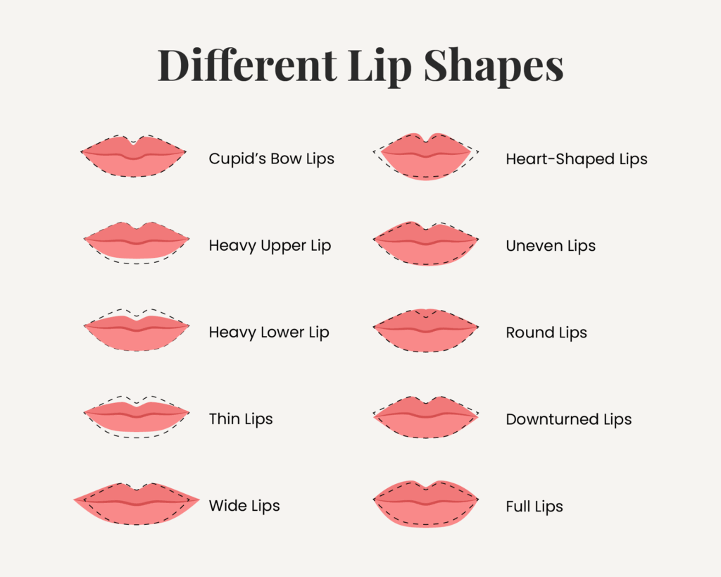 Lip Shape Chart Different Lip Shapes and How to Enhance Them